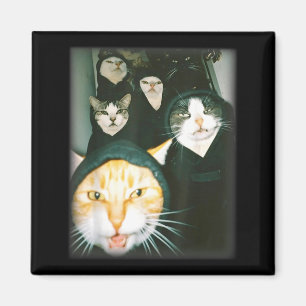 Kattgäng Meme Rollig Kaotiska Katter Oka Katt Humo Magnet
