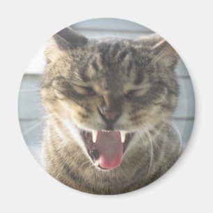 Kattgäspning Magnet