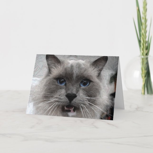 Katthälsningkort Kort (Framsida)