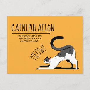 Katthattar - lovers Meow-design Vykort