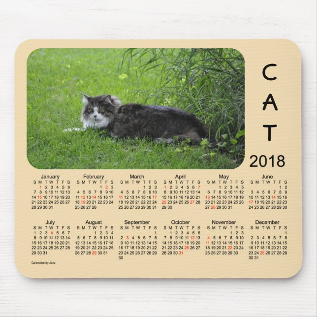 Katthelgdagkalender 2018 vid Janz Musmatta (Framsidan)