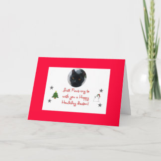 katthelgdagkort helgkort