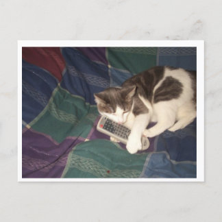 Katthovring fjärrkontroll vykort