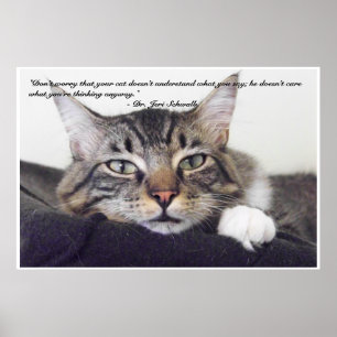 Katthumor Poster