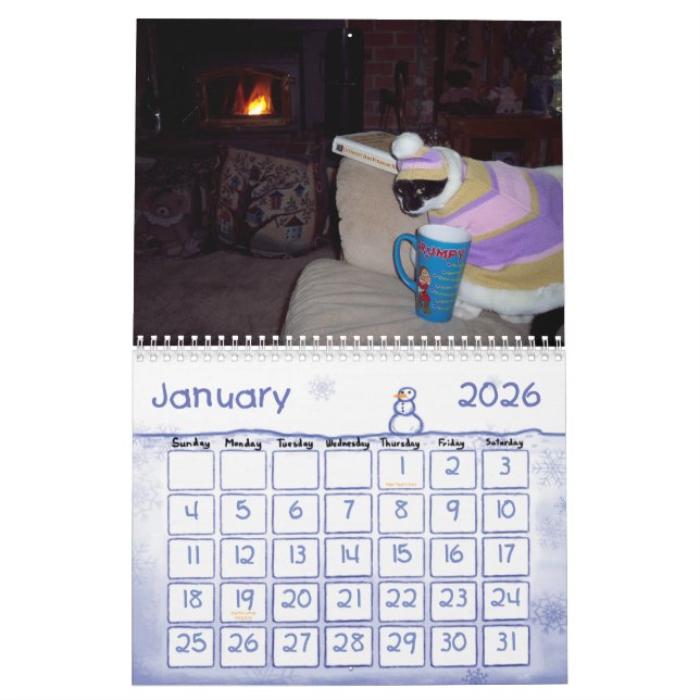 KATTHUMORKALENDER KALENDER (Jan 2026)