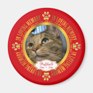 Katthusdjur, i att älska magnet