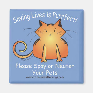 Katthuset på Kung Spay och Neuter Magnet
