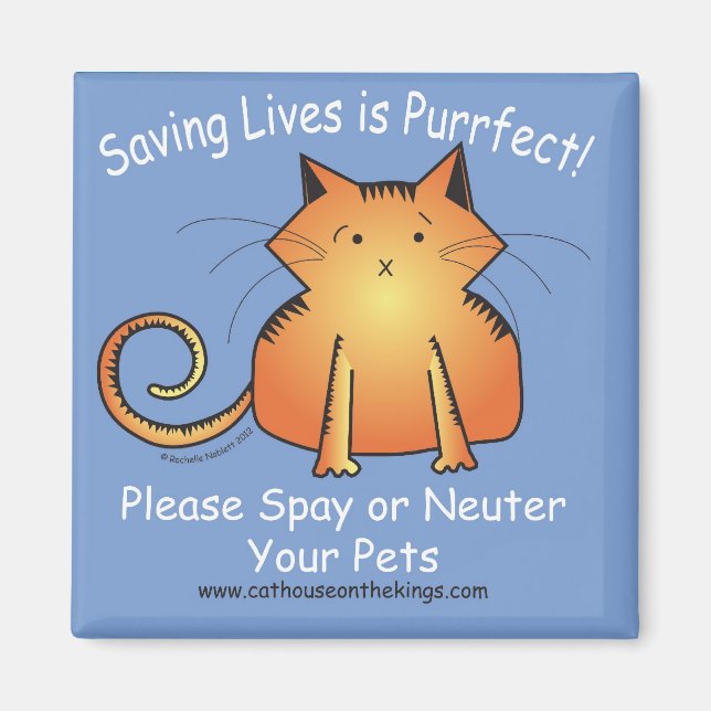 Katthuset på Kung Spay och Neuter Magnet (Framsidan)