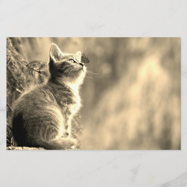 Katti med fjärilsvitt brevpapper (Framsida)