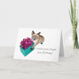 Katti med nuvarande födelsedagskort kort