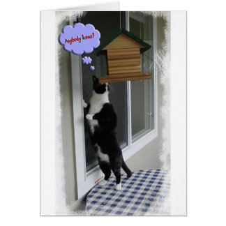 Kattinbrottstjuv Hälsningskort