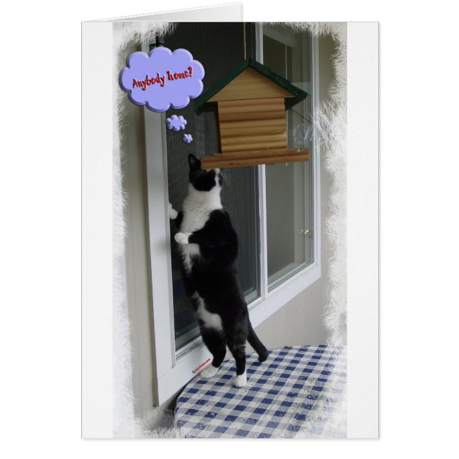 Kattinbrottstjuv Hälsningskort (Framsidan)