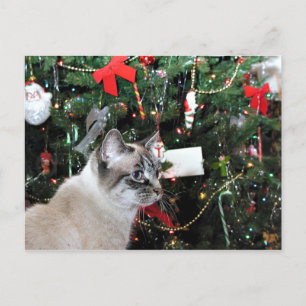 Kattjulen i Siamese Helg Vykort