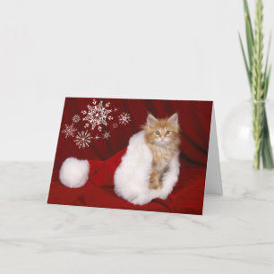 Kattjulkort Helgkort