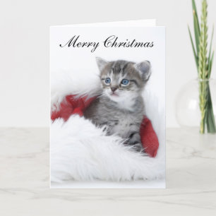 Kattjulkort Helgkort
