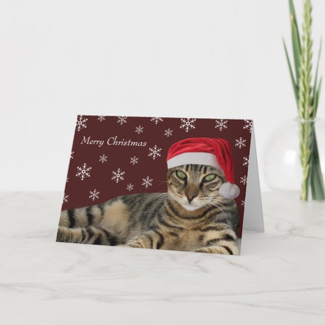 Kattjulkort Helgkort (Framsida)