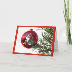 Kattjulkort Helgkort
