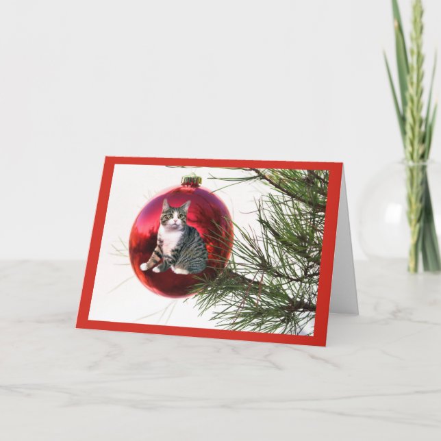 Kattjulkort Helgkort (Framsida)