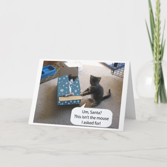 Kattjullkort (tomt inuti) helgkort (Framsida)