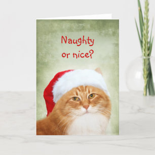 Kattjultomten Helgkort