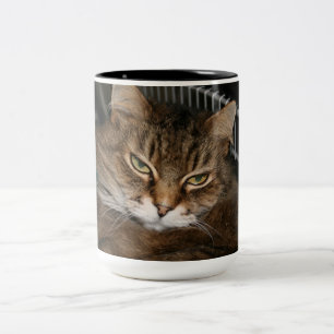 Kattkaffekopp Två-Tonad Mugg