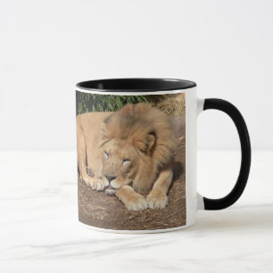 Kattkaffemugg Mugg