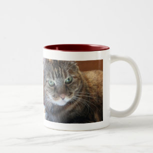 Kattkaffemugg Två-Tonad Mugg