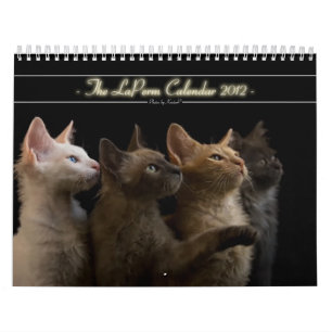 Kattkalender 2012 kalender