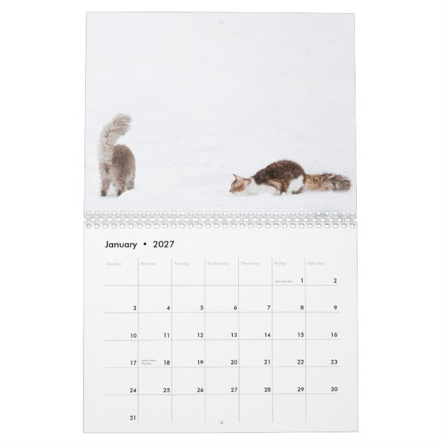 Kattkalender 2012 kalender (Jan 2027)