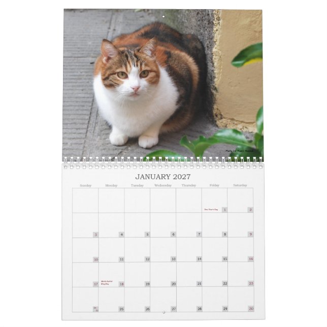 Kattkalender 2013 kalender (Jan 2027)