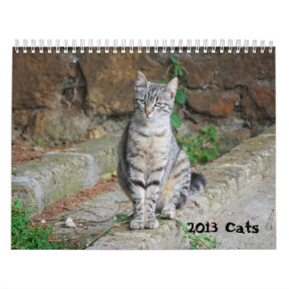 Kattkalender 2013 kalender