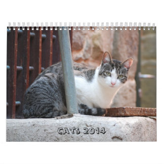 Kattkalender 2014 kalender
