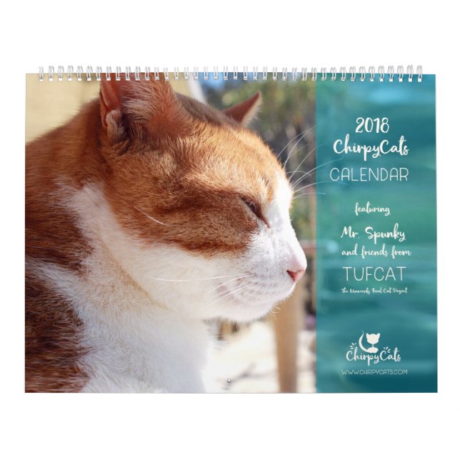 Kattkalender 2018 - Chirpy katter Kalender (Omslag)