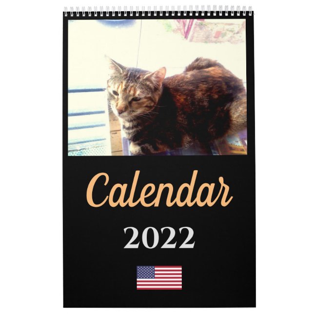 Kattkalender 2022 kalender (Omslag)