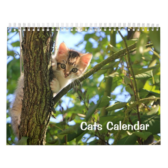 Kattkalender 2023 kalender (Omslag)