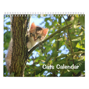 Kattkalender 2023 kalender