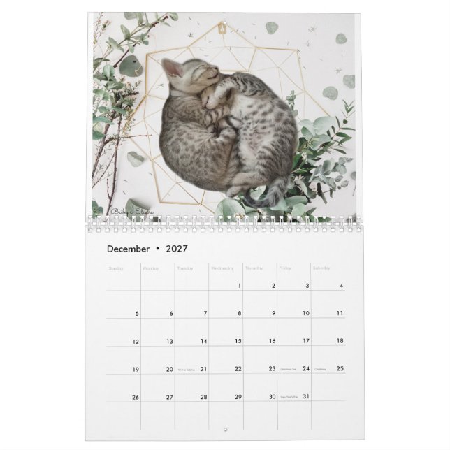 Kattkalender 2023 kalender (Dec 2027)