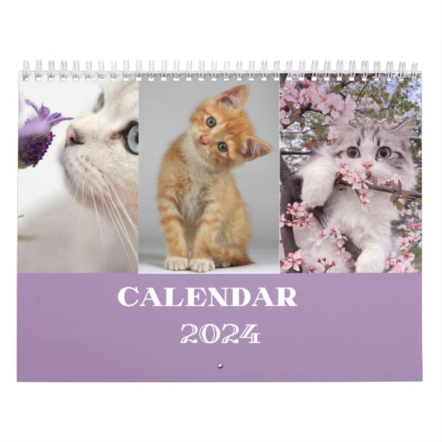Kattkalender 2024 - modern kalender för skärsår (Omslag)