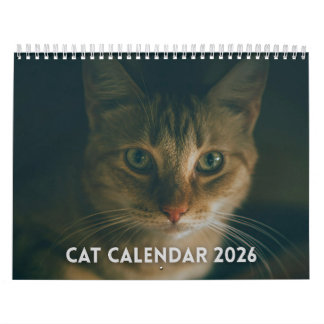 Kattkalender 2026 kalender