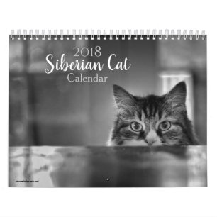 Kattkalender för 2018 Siberian Kalender