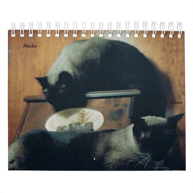 Kattkalender Kalender (Omslag)