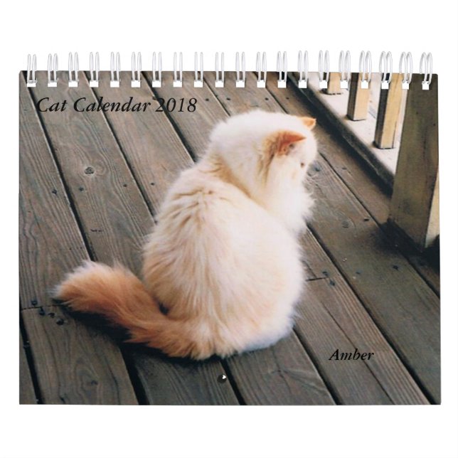 Kattkalender Kalender (Omslag)