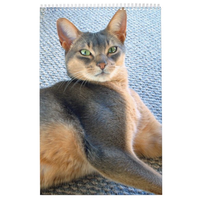 Kattkalender Kalender (Omslag)