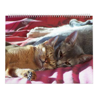 Kattkalender Kalender