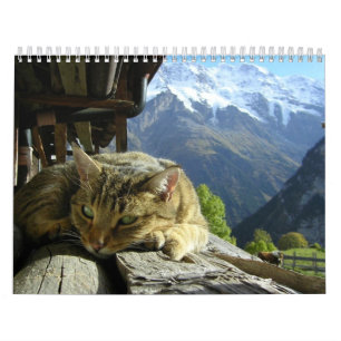 Kattkalender Kalender