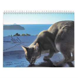 Kattkalender Kalender