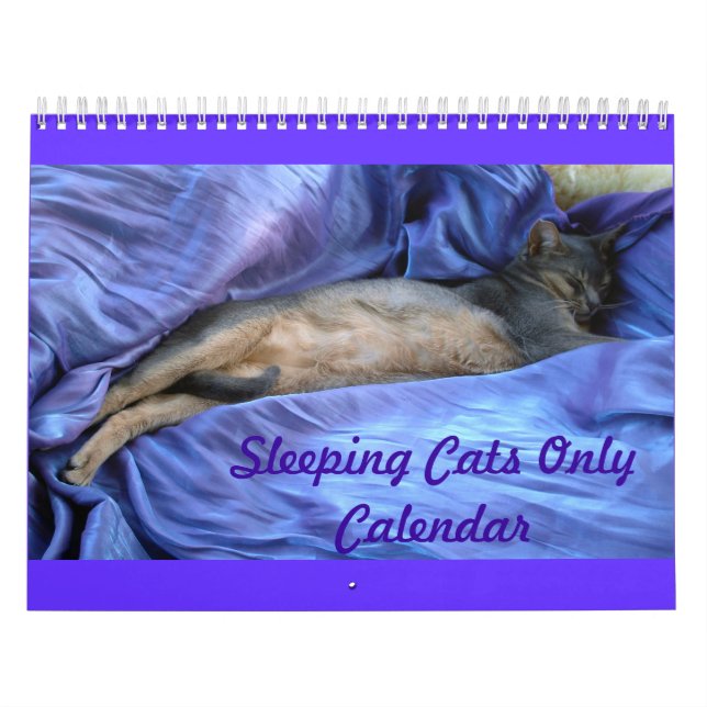 Kattkalender Kalender (Omslag)