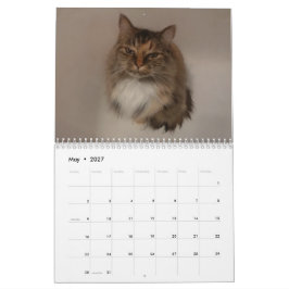 Kattkalender Kalender