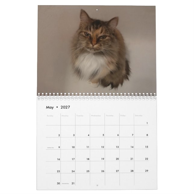Kattkalender Kalender (May 2027)