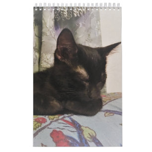 Kattkalender Kalender
